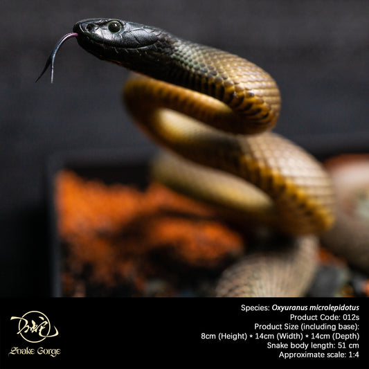 Inland Taipan/Oxyuranus microlepidotus Resin Model