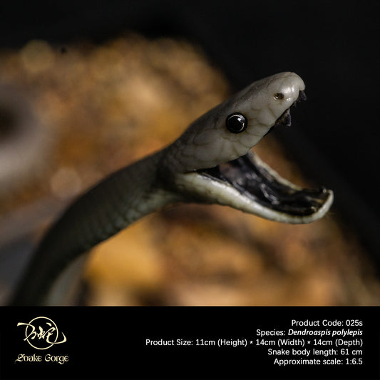 Black Mamba/Dendroaspis polylepis Resin Model