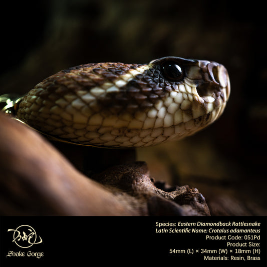 Eastern Diamondback Rattlesnake/ Crotalus adamanteus Head Resin Model Pendant