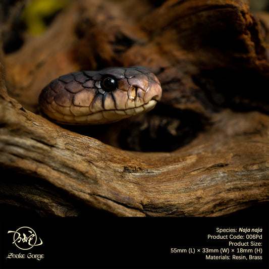 Indian Cobra/ Naja naja Head Resin Model Pendant