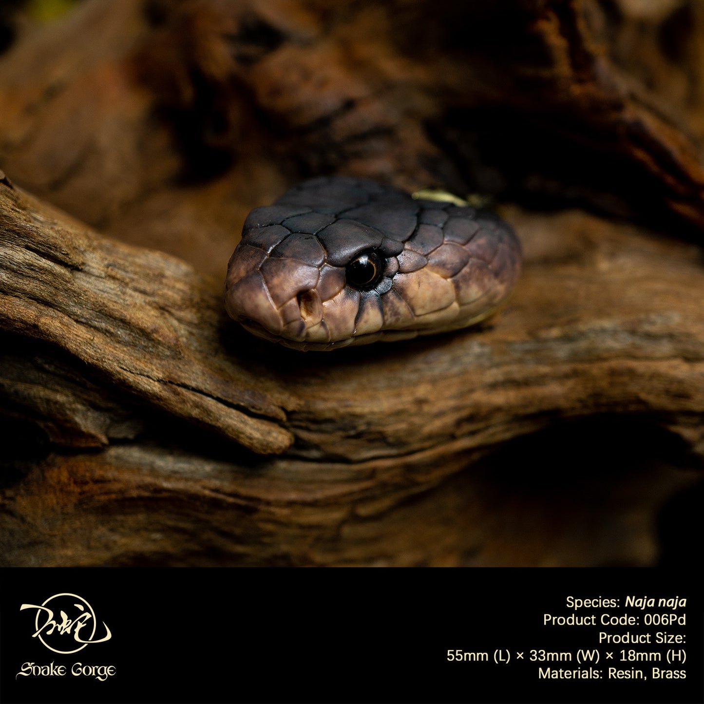 Indian Cobra/ Naja naja Head Resin Model Pendant