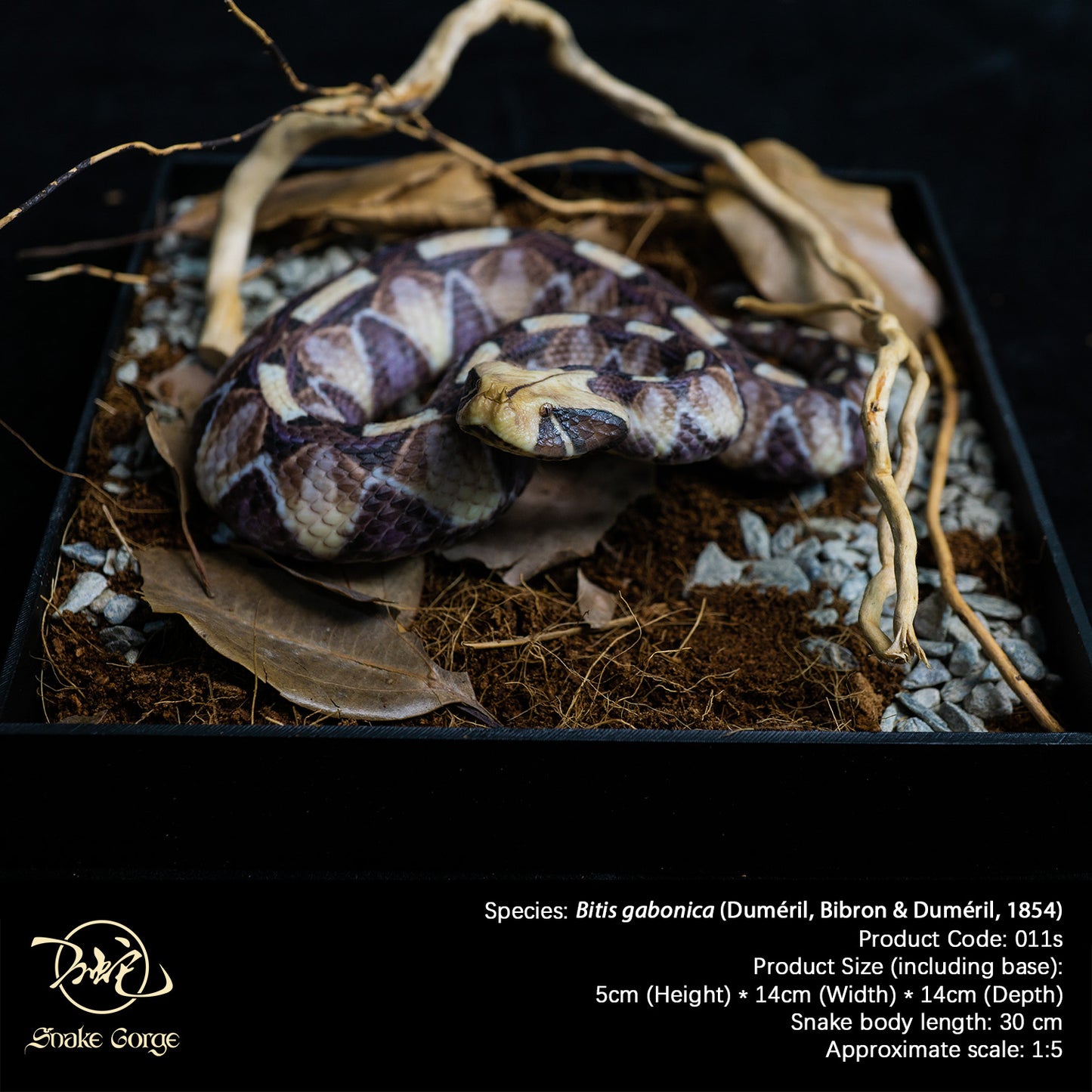 Gaboon viper/Bitis gabonica (Duméril, Bibron & Duméril, 1854) Resin Model