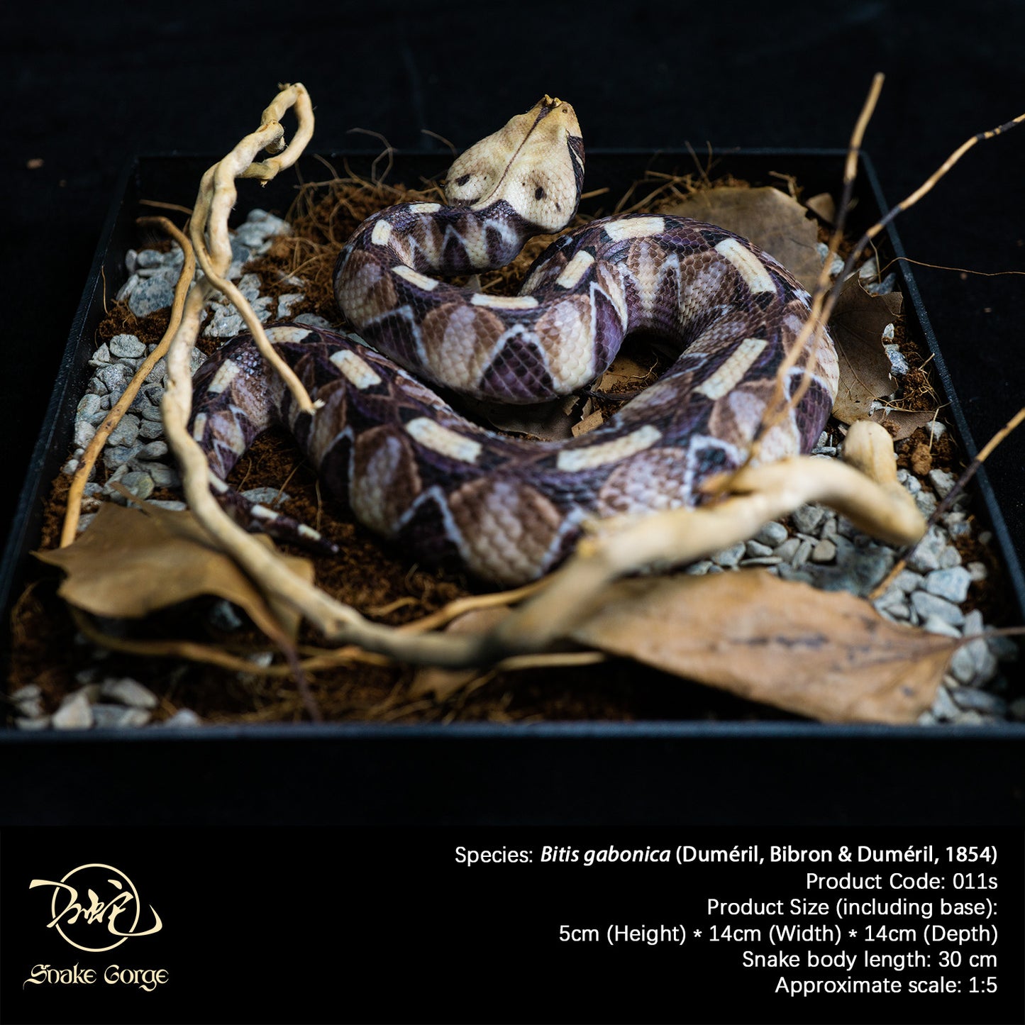 Gaboon viper/Bitis gabonica (Duméril, Bibron & Duméril, 1854) Resin Model