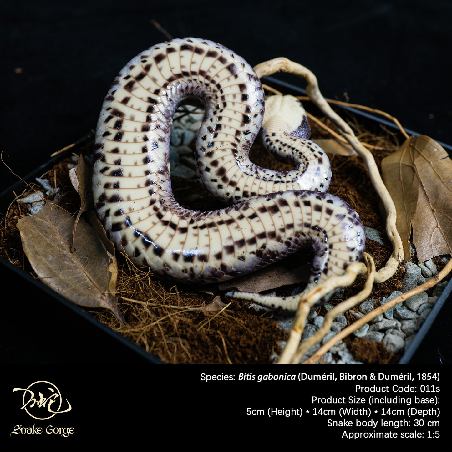 Gaboon viper/Bitis gabonica (Duméril, Bibron & Duméril, 1854) Resin Model