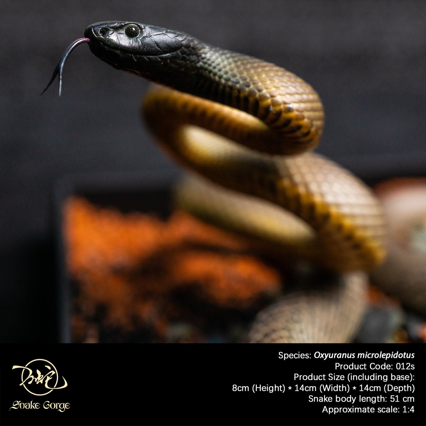 Inland Taipan/Oxyuranus microlepidotus Resin Model