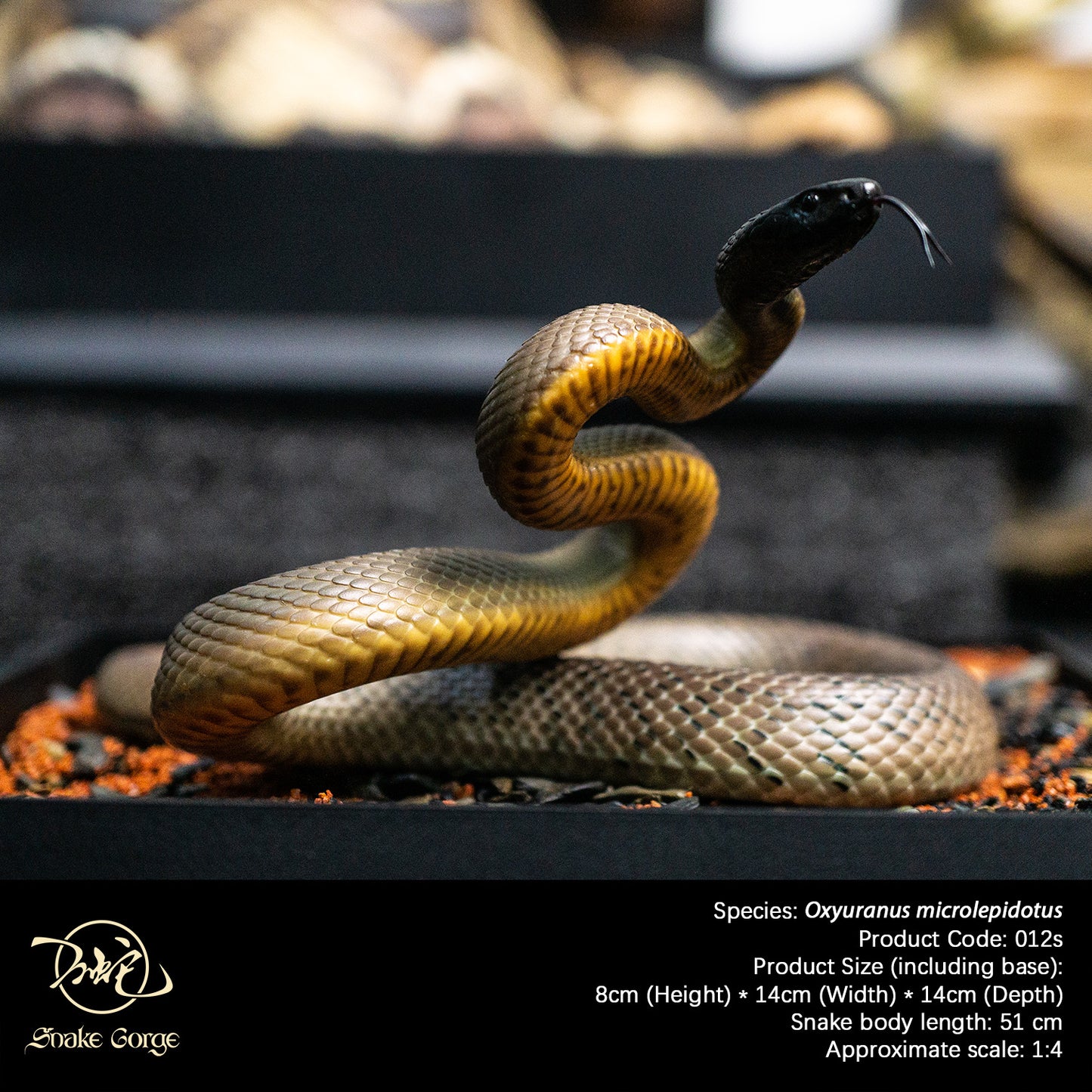 Inland Taipan/Oxyuranus microlepidotus Resin Model