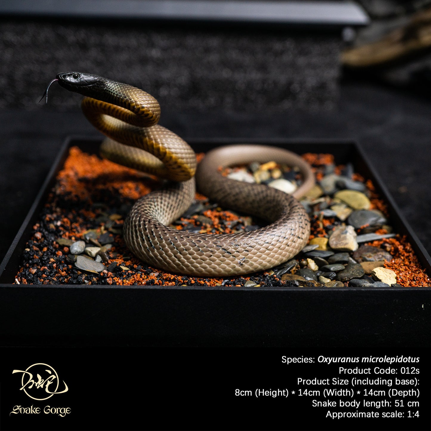 Inland Taipan/Oxyuranus microlepidotus Resin Model