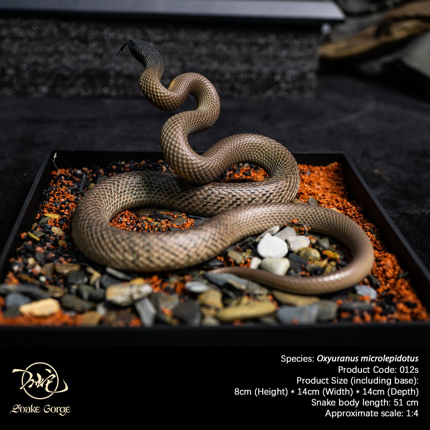 Inland Taipan/Oxyuranus microlepidotus Resin Model