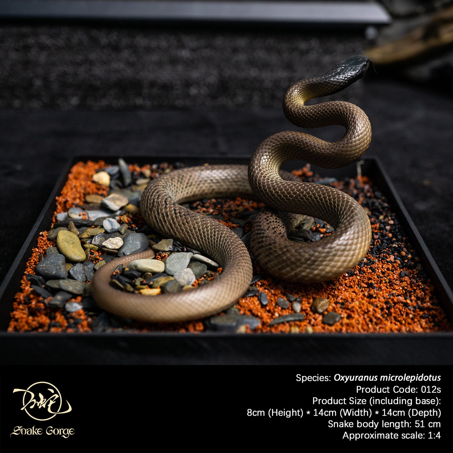 Inland Taipan/Oxyuranus microlepidotus Resin Model