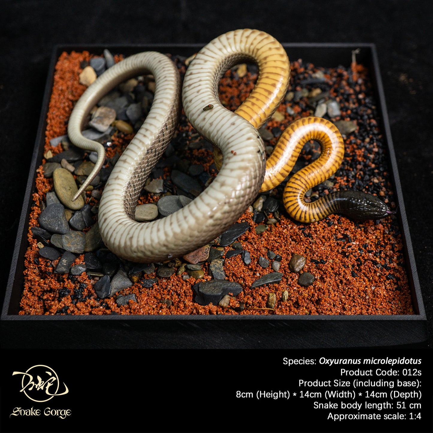 Inland Taipan/Oxyuranus microlepidotus Resin Model