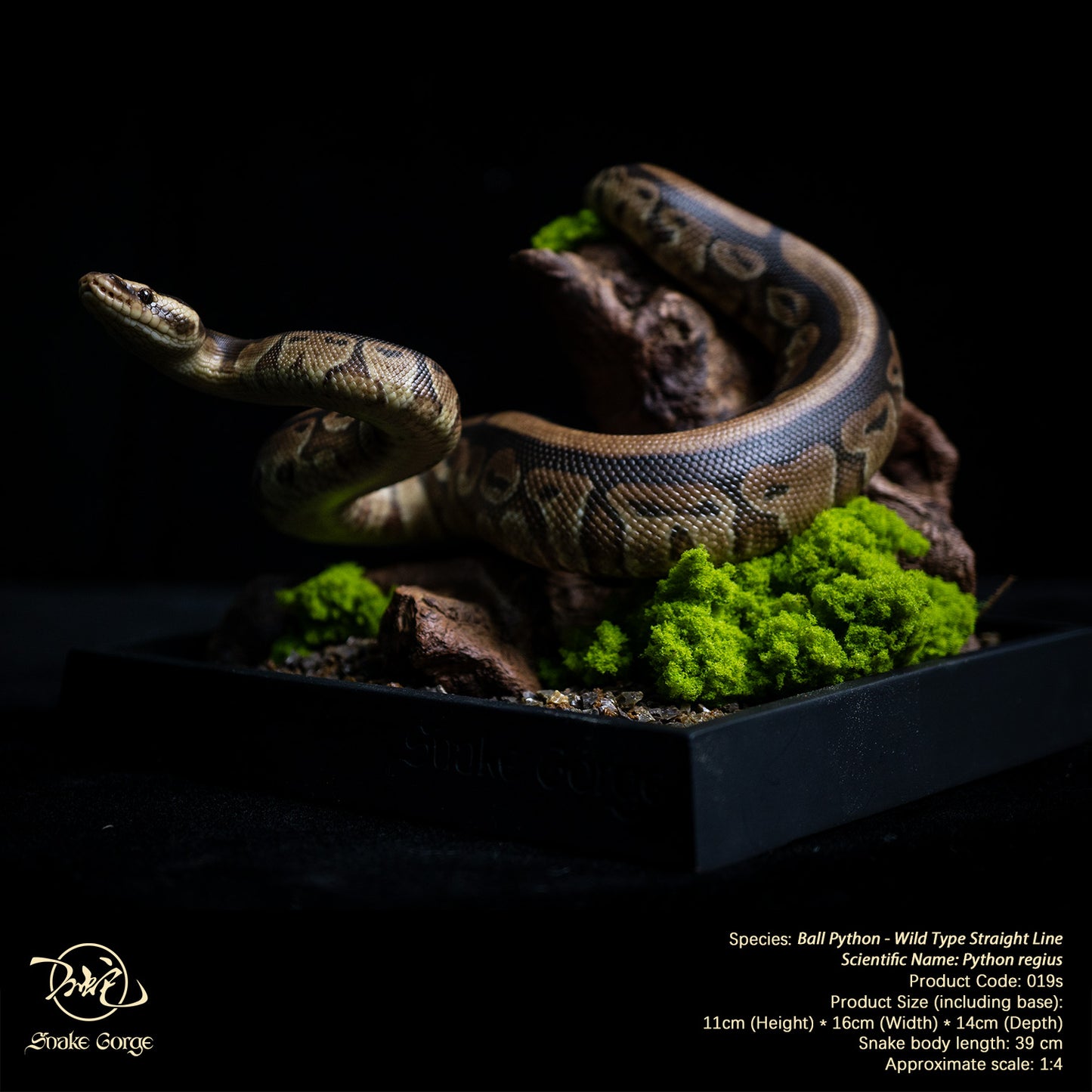 Ball Python - Wild Type Straight Line/ Python regius Resin Model