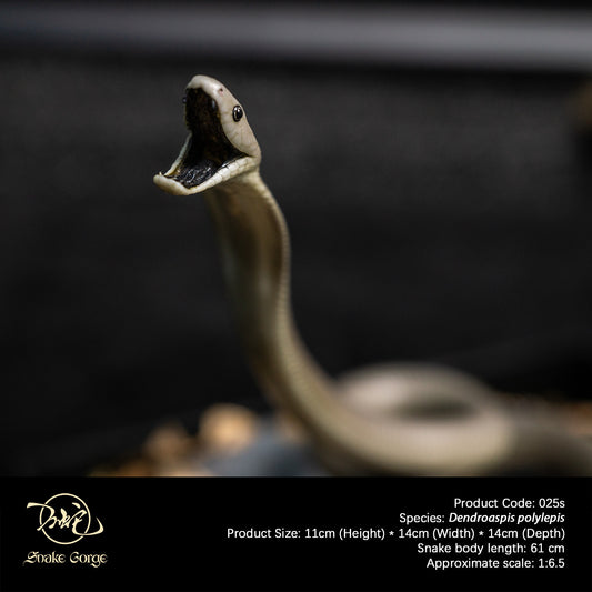 Black Mamba/Dendroaspis polylepis Resin Model