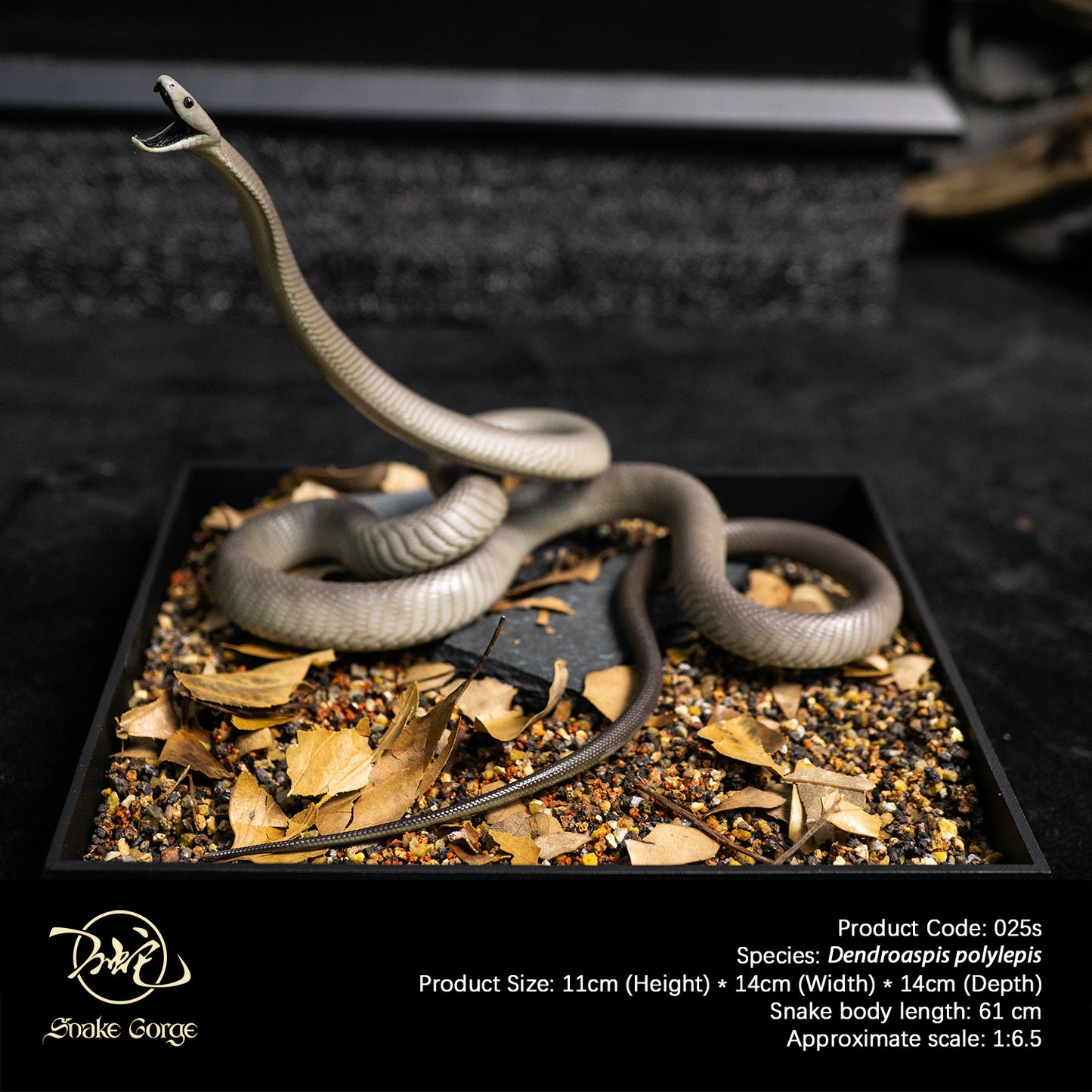 Black Mamba/Dendroaspis polylepis Resin Model