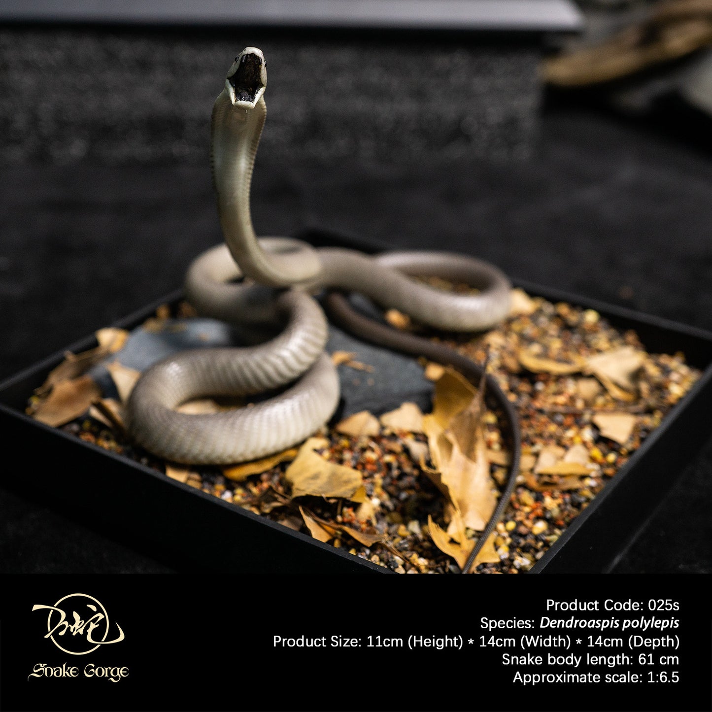 Black Mamba/Dendroaspis polylepis Resin Model