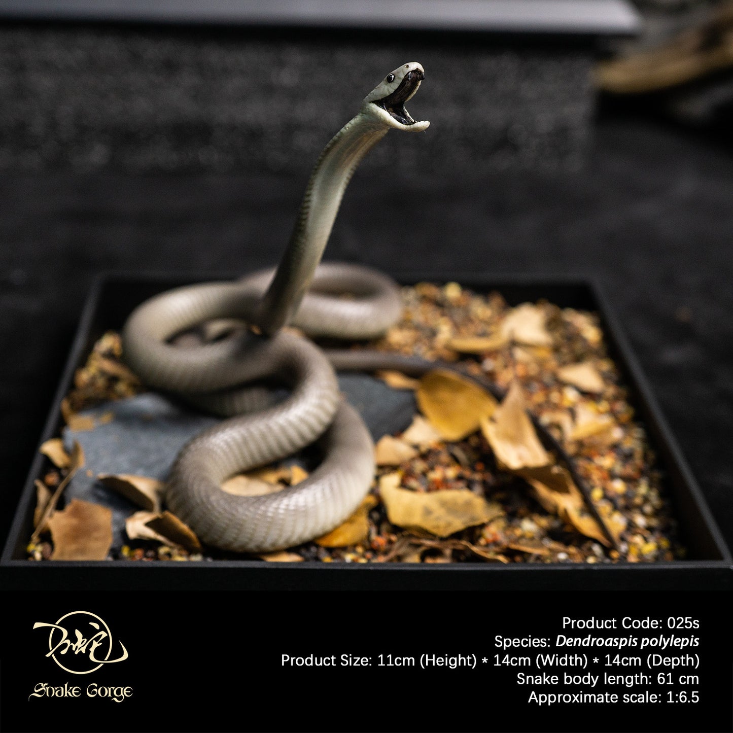 Black Mamba/Dendroaspis polylepis Resin Model