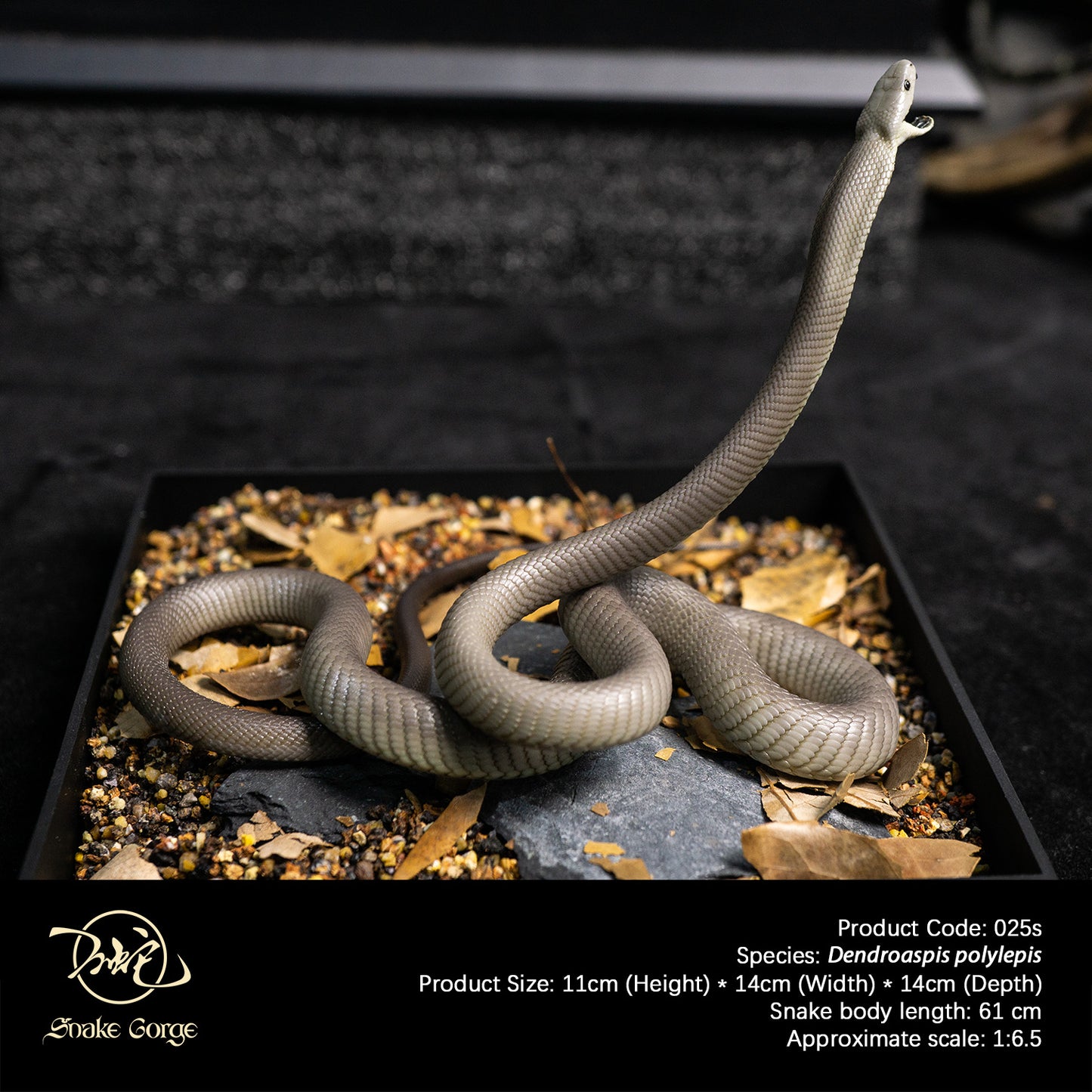 Black Mamba/Dendroaspis polylepis Resin Model