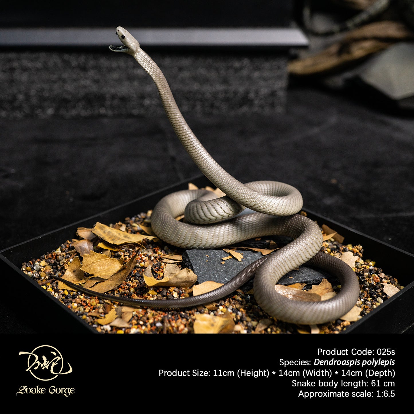 Black Mamba/Dendroaspis polylepis Resin Model