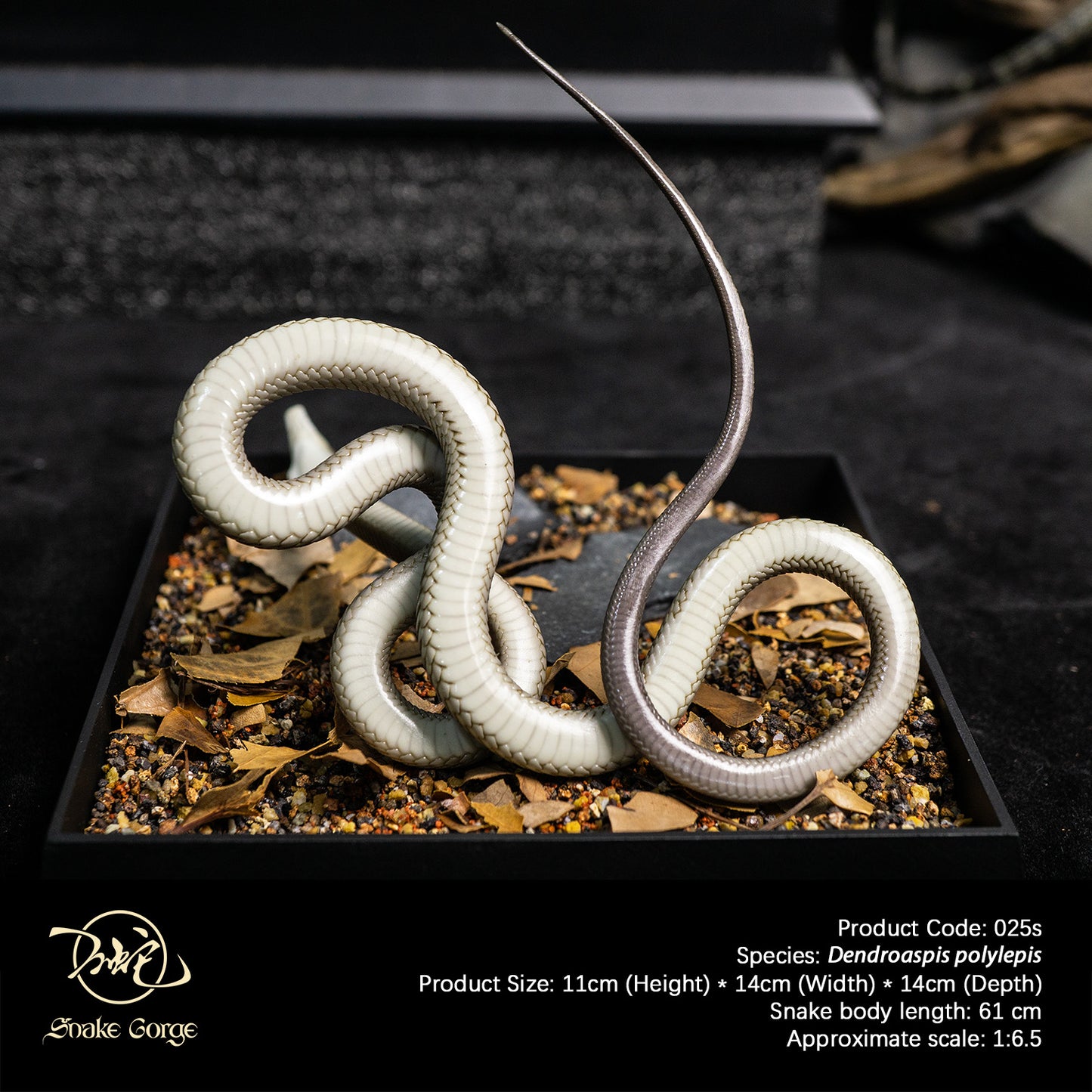 Black Mamba/Dendroaspis polylepis Resin Model