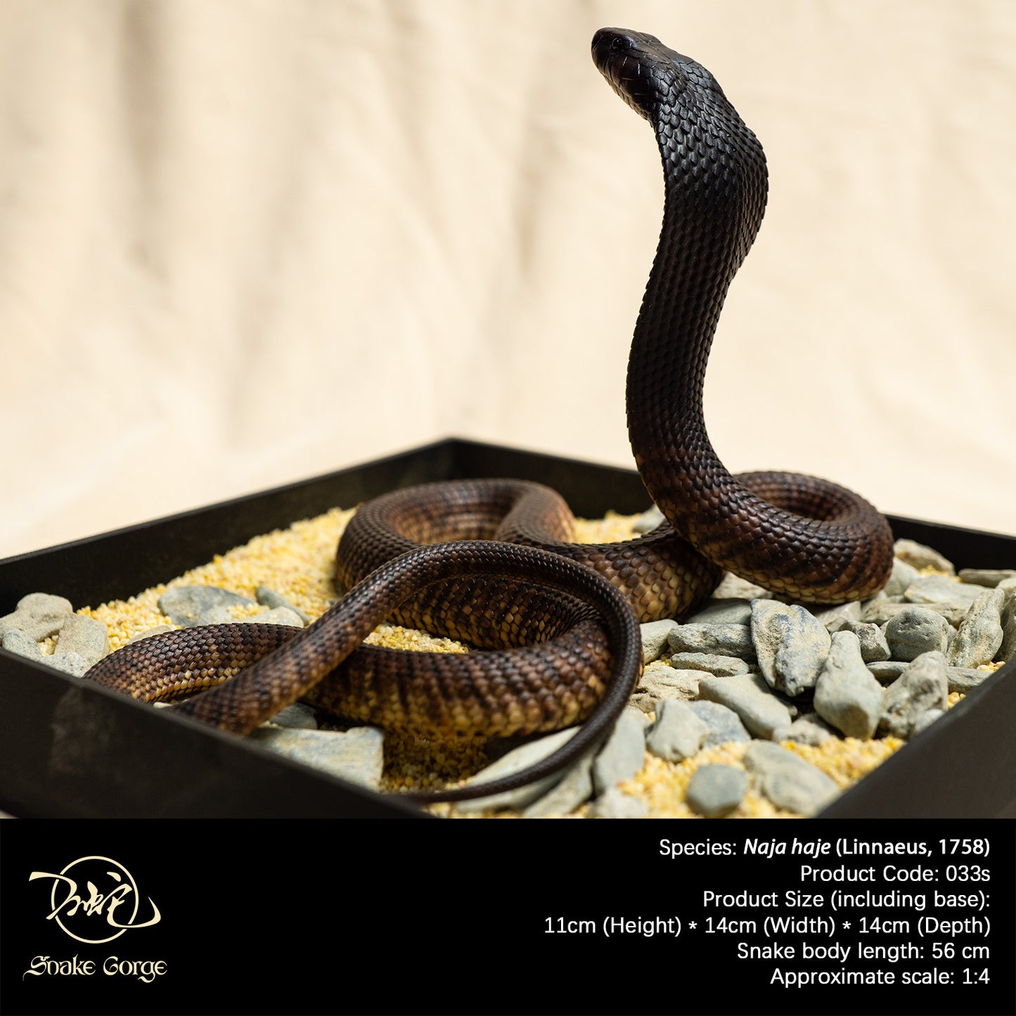 Egyptian cobra/ Naja haje Resin Model