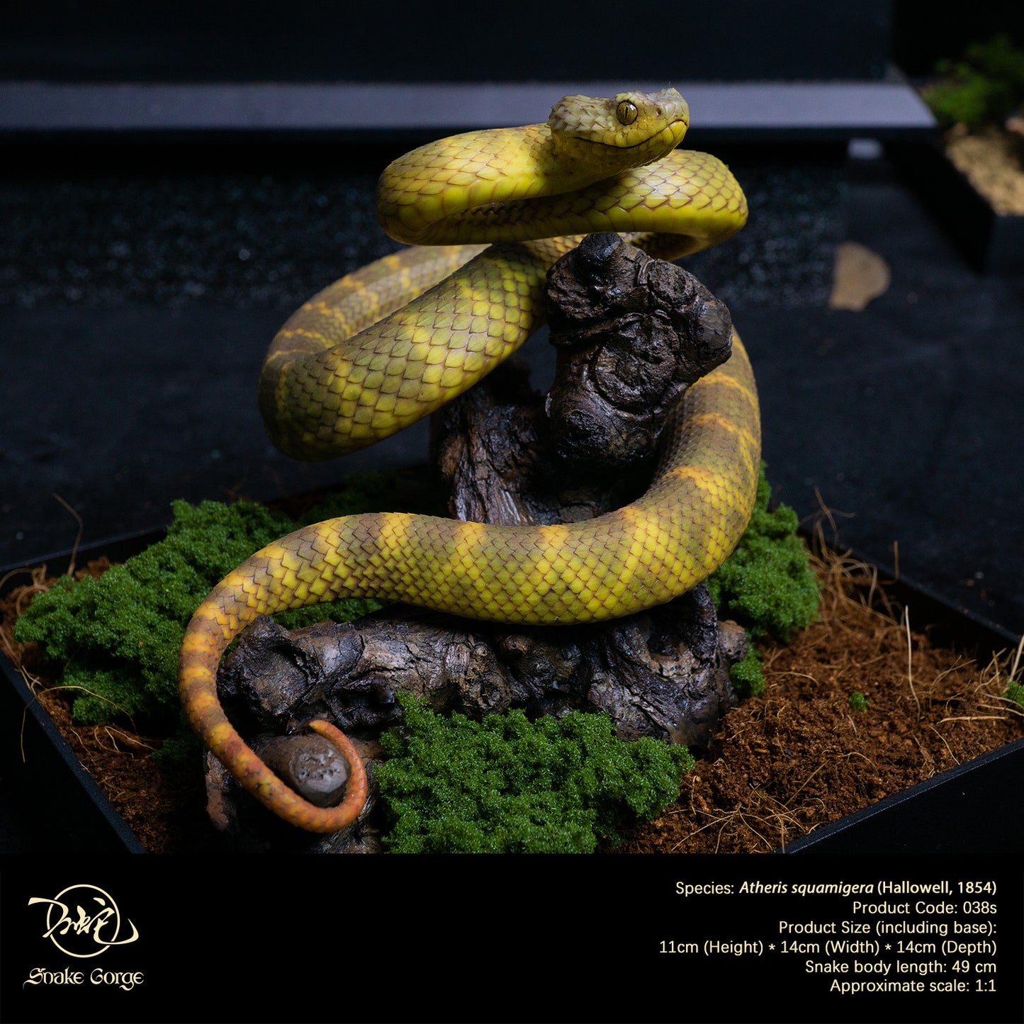 Yellow-Green Variable Bush Viper / Atheris squamigera (Hallowell, 1854) Resin Model