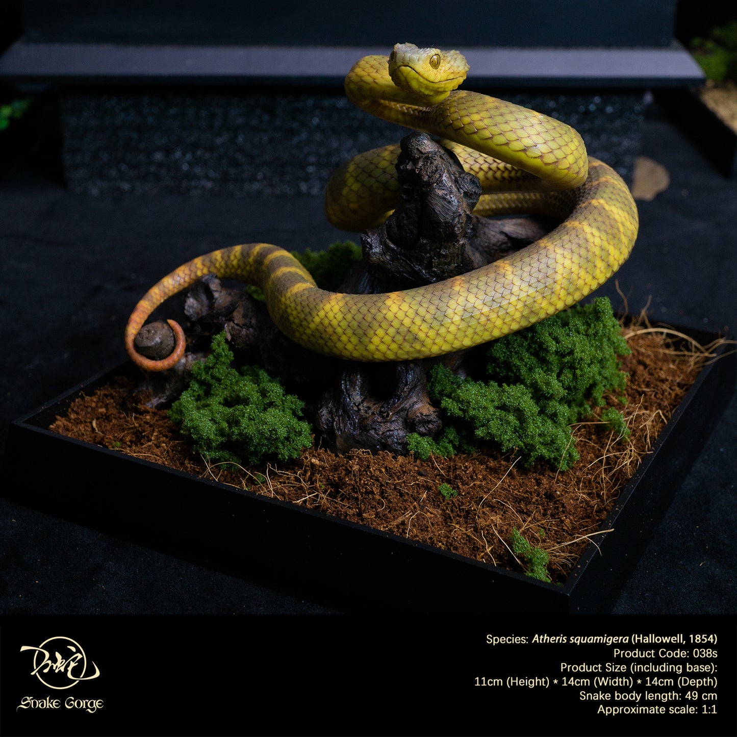 Yellow-Green Variable Bush Viper / Atheris squamigera (Hallowell, 1854) Resin Model