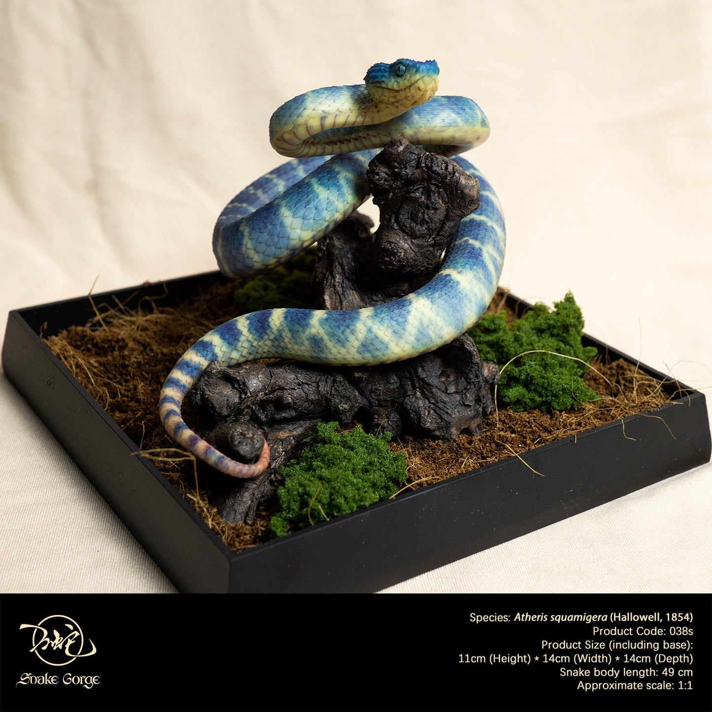 Blue Variable Bush Viper / Atheris squamigera (Hallowell, 1854) Resin Model