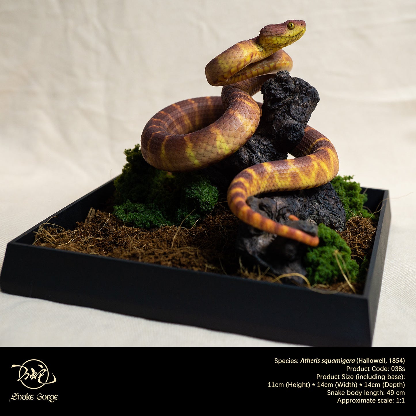 Red Variable Bush Viper / Atheris squamigera (Hallowell, 1854) Resin Model