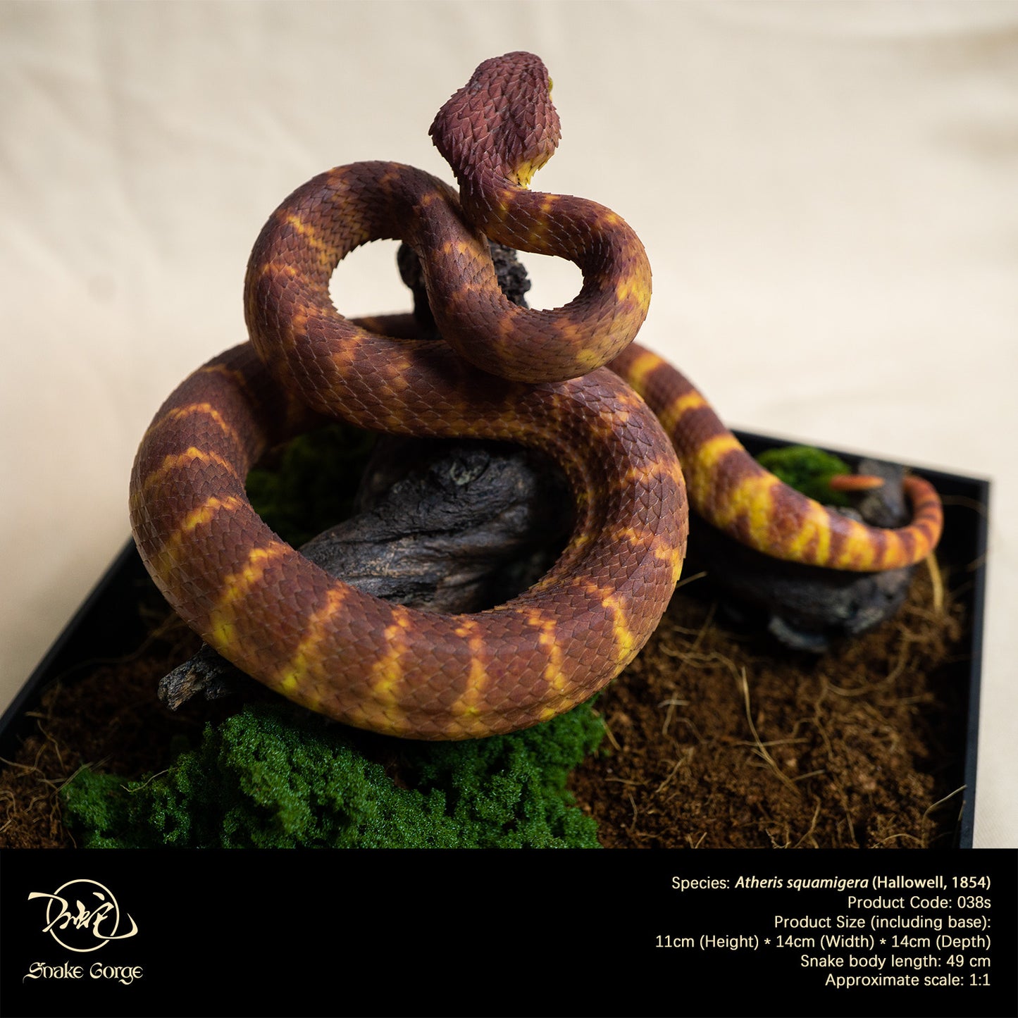 Red Variable Bush Viper / Atheris squamigera (Hallowell, 1854) Resin Model
