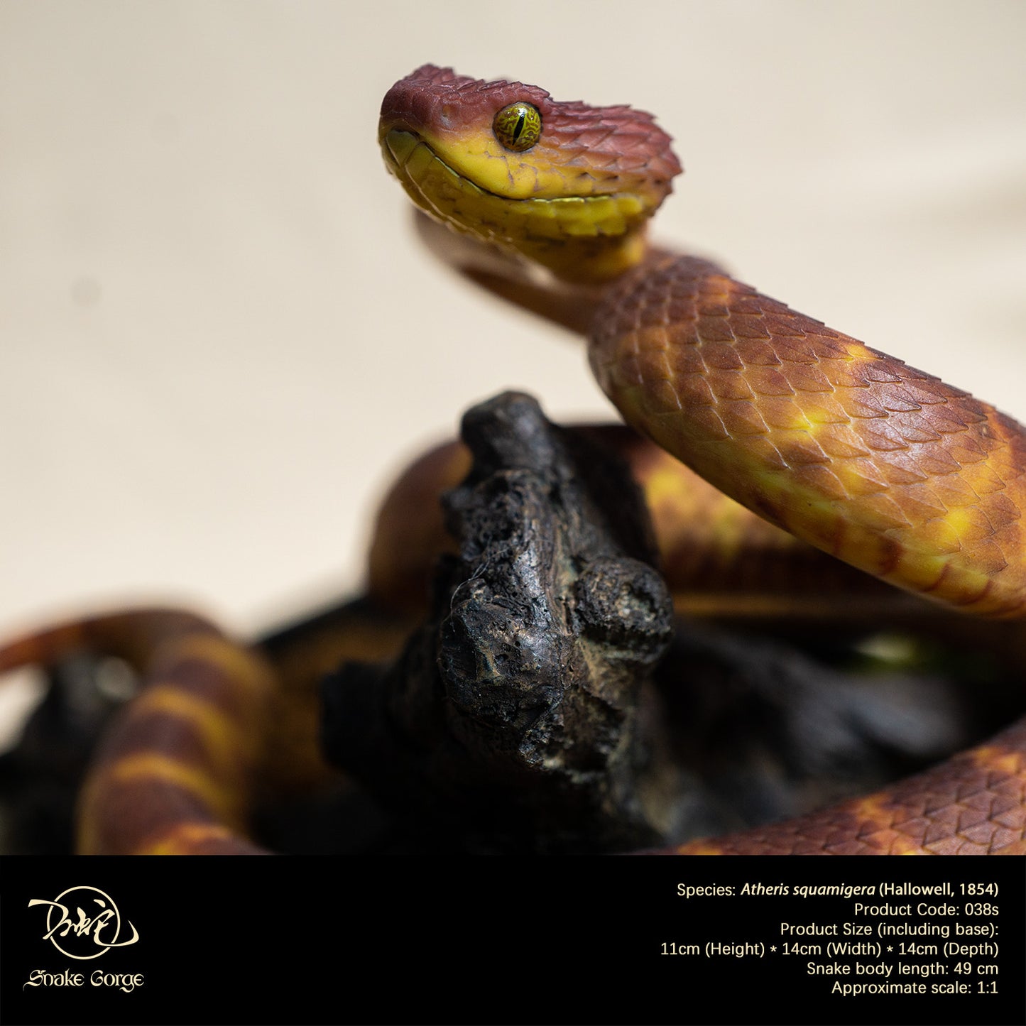 Red Variable Bush Viper / Atheris squamigera (Hallowell, 1854) Resin Model