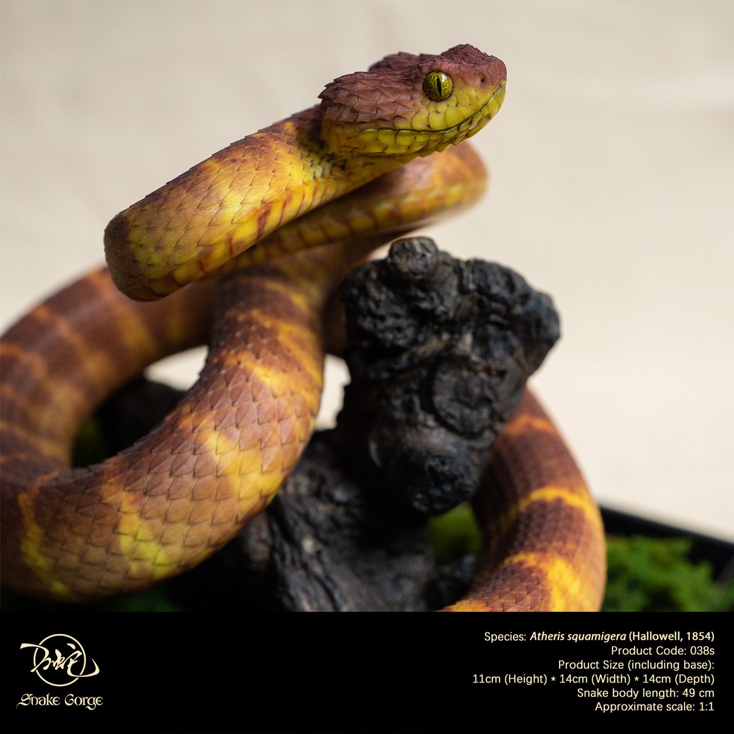 Red Variable Bush Viper / Atheris squamigera (Hallowell, 1854) Resin Model
