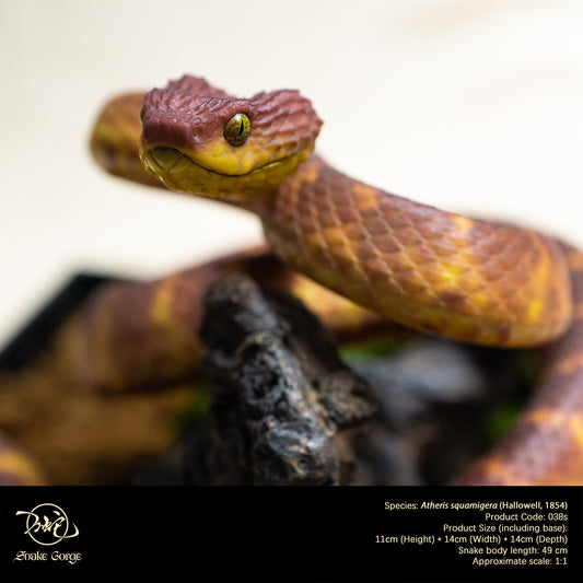 Red Variable Bush Viper / Atheris squamigera (Hallowell, 1854) Resin Model