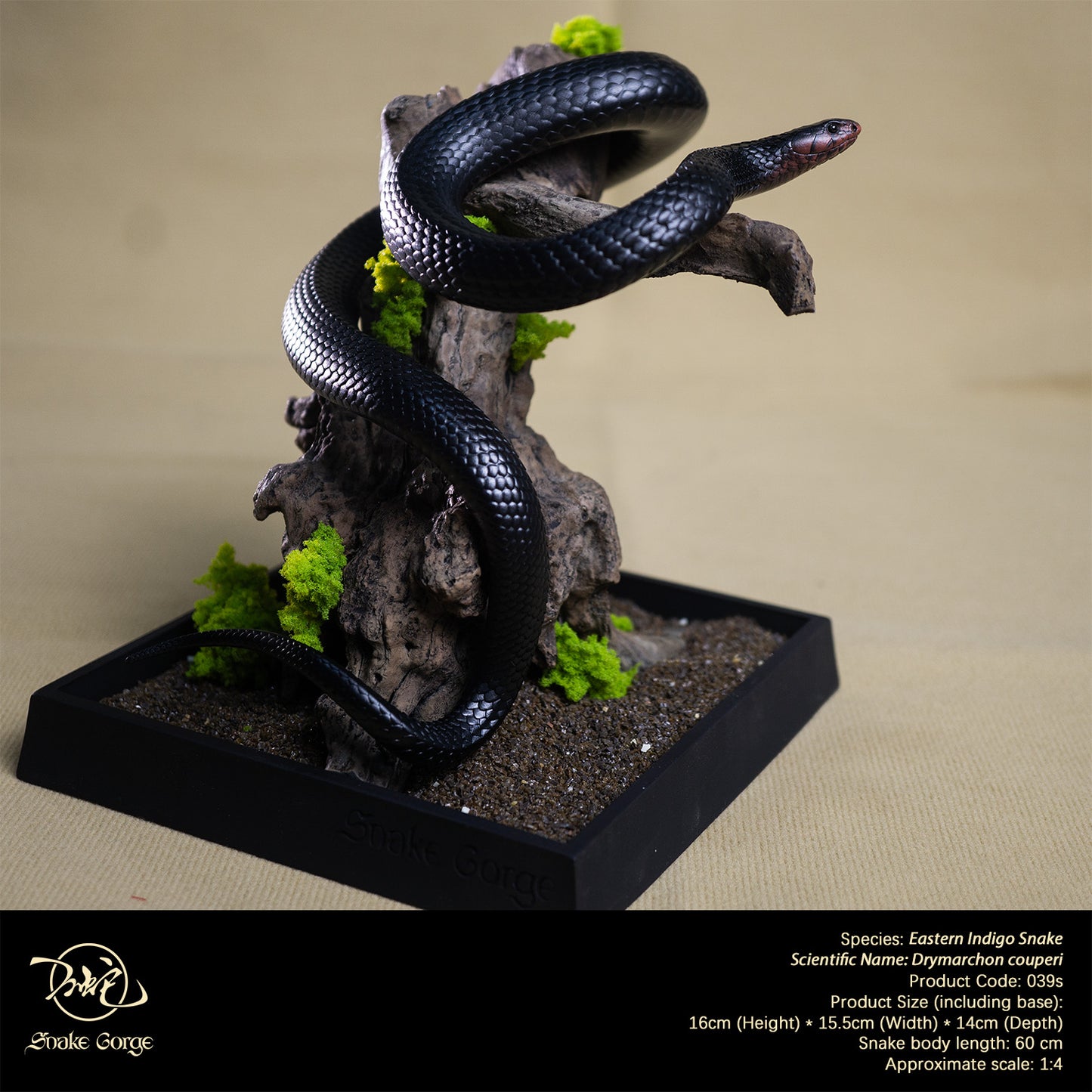 Eastern Indigo Snake/ Drymarchon couperi Resin Model