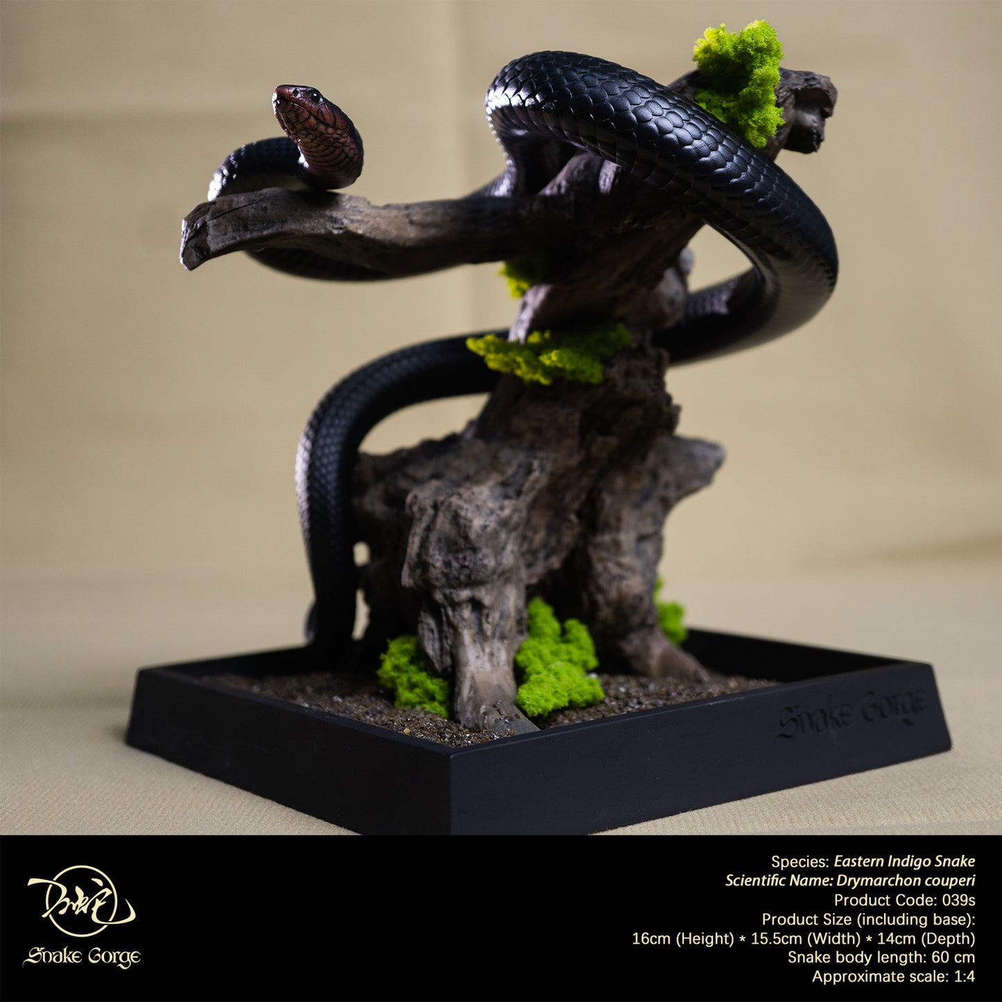 Eastern Indigo Snake/ Drymarchon couperi Resin Model
