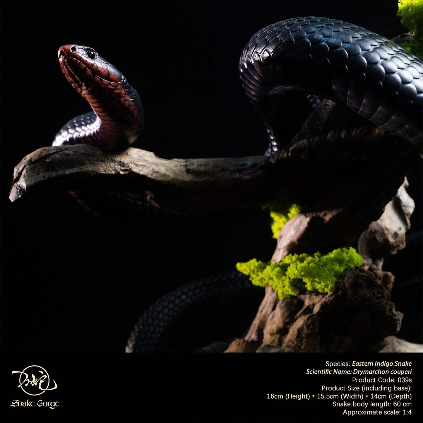 Eastern Indigo Snake/ Drymarchon couperi Resin Model