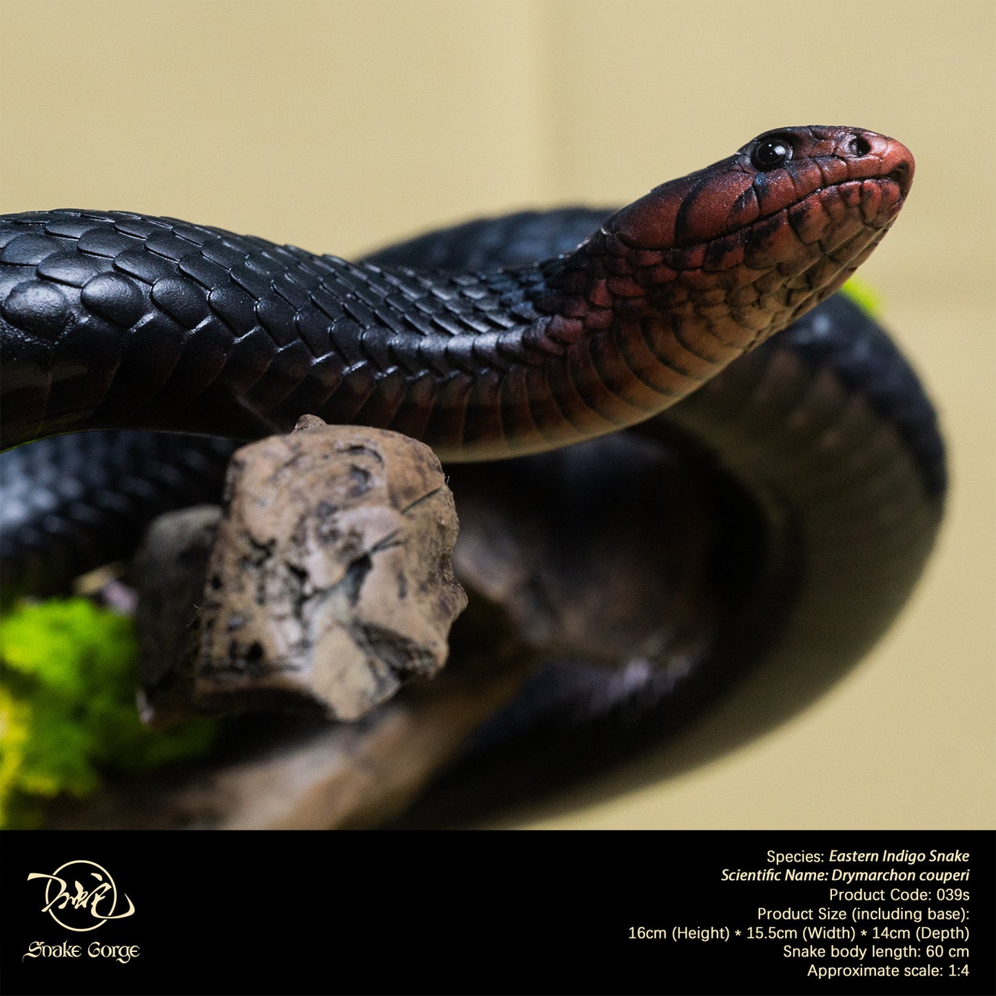 Eastern Indigo Snake/ Drymarchon couperi Resin Model