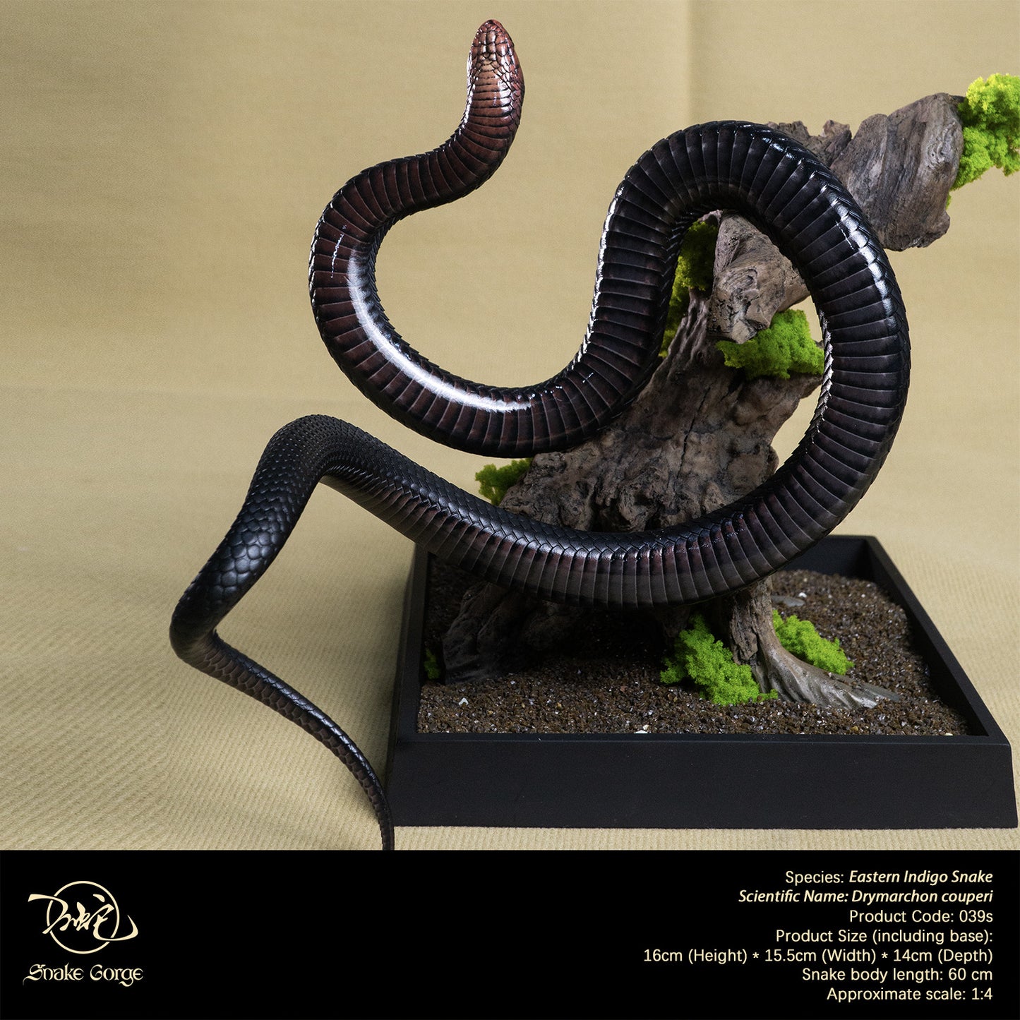 Eastern Indigo Snake/ Drymarchon couperi Resin Model