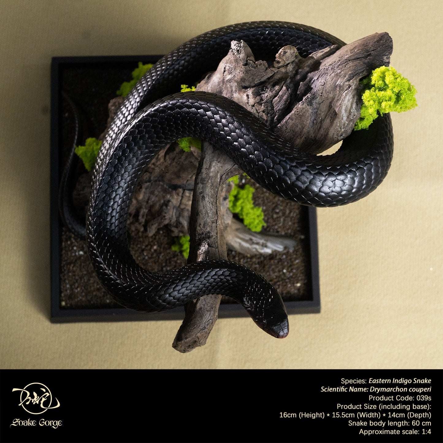 Eastern Indigo Snake/ Drymarchon couperi Resin Model