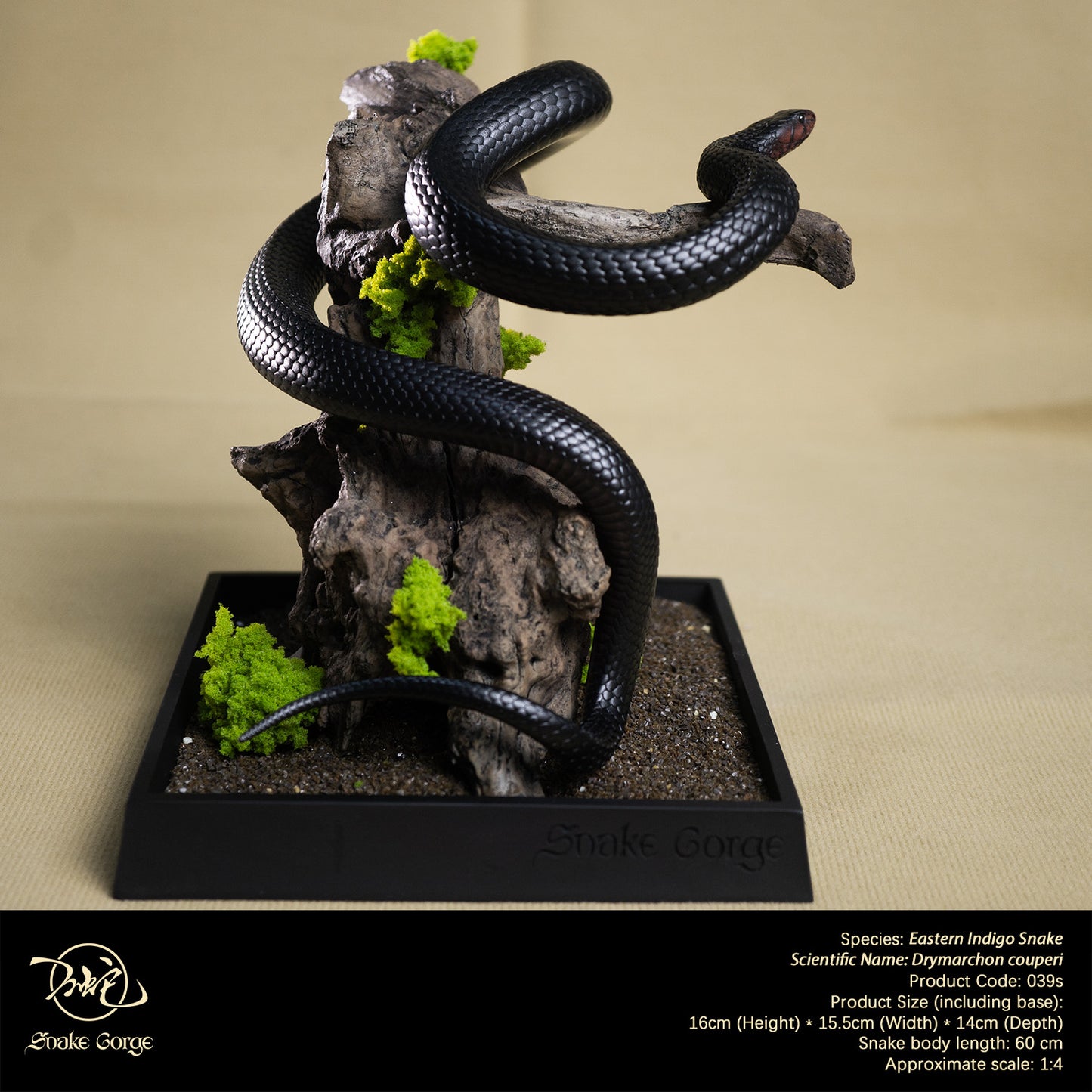 Eastern Indigo Snake/ Drymarchon couperi Resin Model