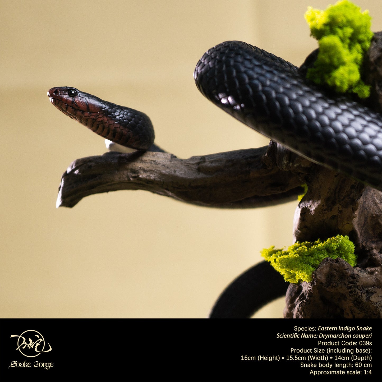Eastern Indigo Snake/ Drymarchon couperi Resin Model