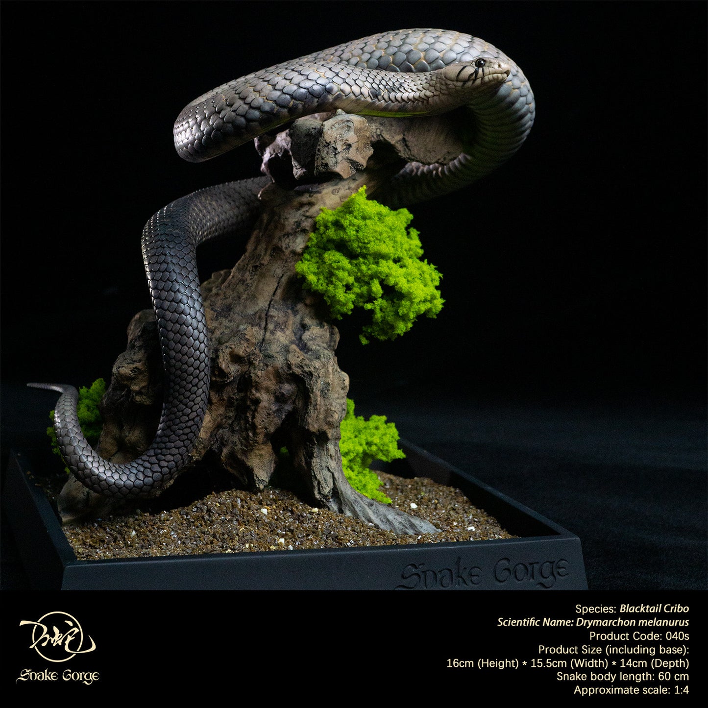 Blacktail Cribo / Central American Indigo Snake/ Drymarchon melanurus Resin Model