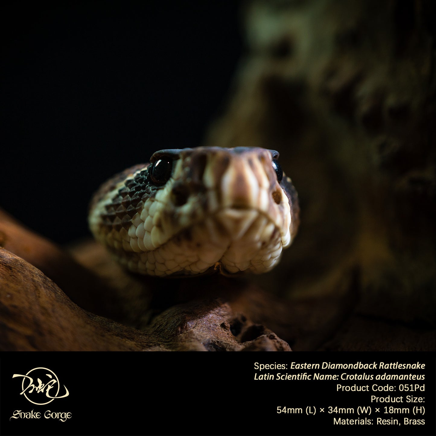 Eastern Diamondback Rattlesnake/ Crotalus adamanteus Head Resin Model Pendant