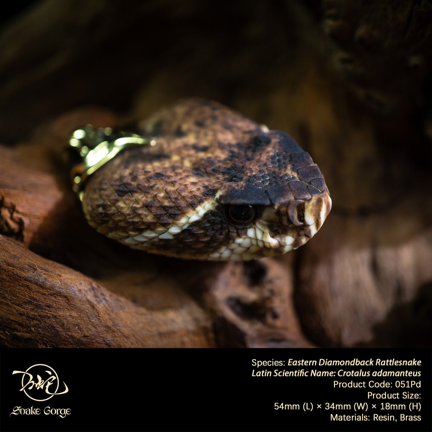 Eastern Diamondback Rattlesnake/ Crotalus adamanteus Head Resin Model Pendant