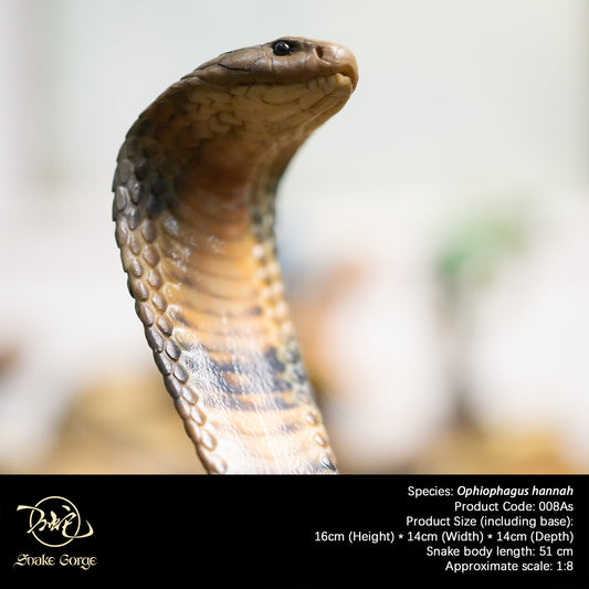 Northern King Cobra/Ophiophagus hannah Resin Model