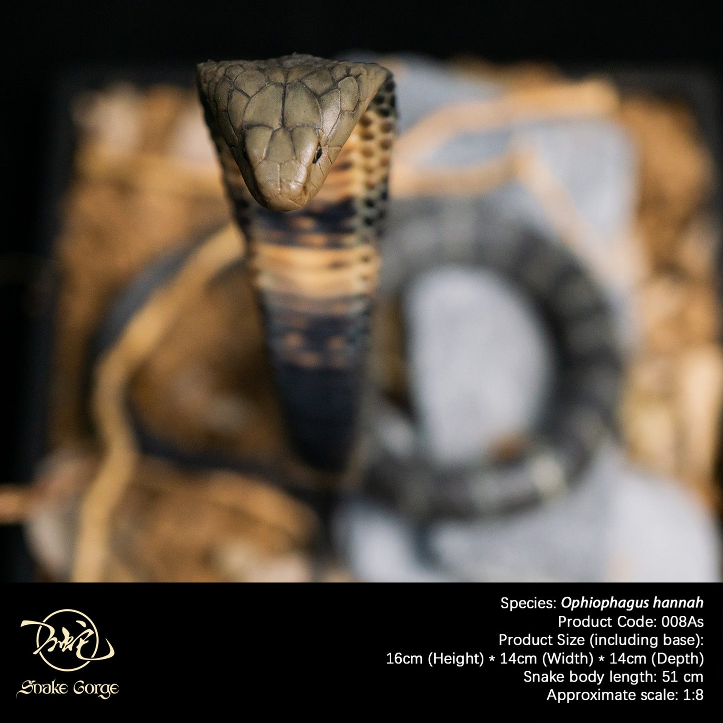 Northern King Cobra/Ophiophagus hannah Resin Model