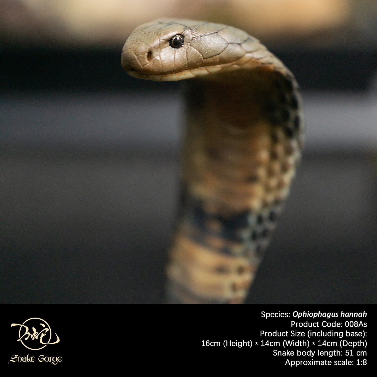 Northern King Cobra/Ophiophagus hannah Resin Model