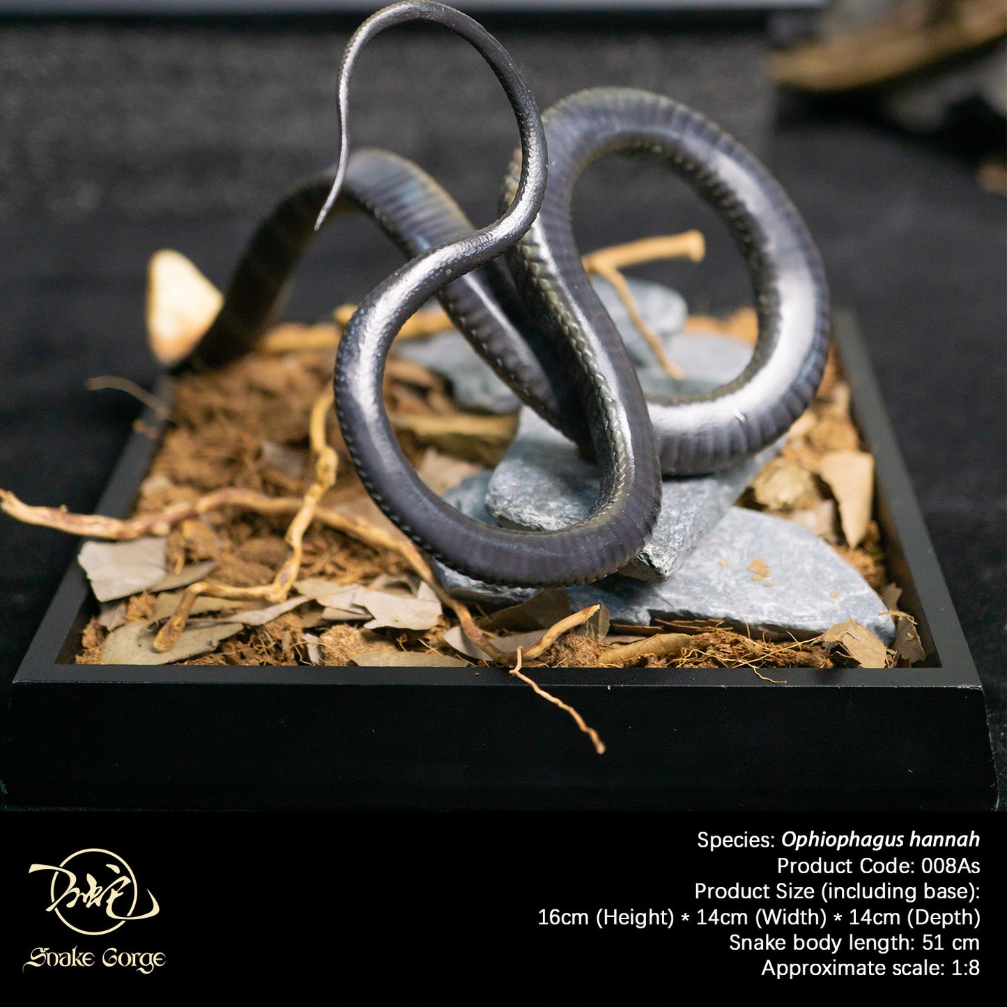 Northern King Cobra/Ophiophagus hannah Resin Model