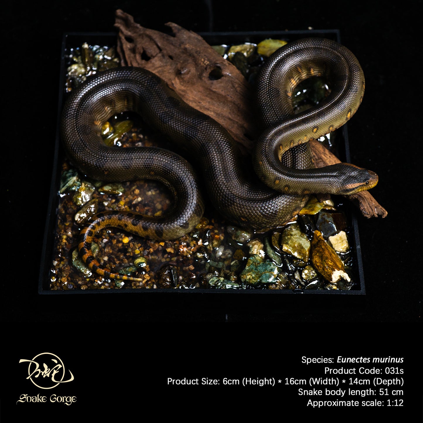 Green Anaconda/Eunectes murinus Resin Model