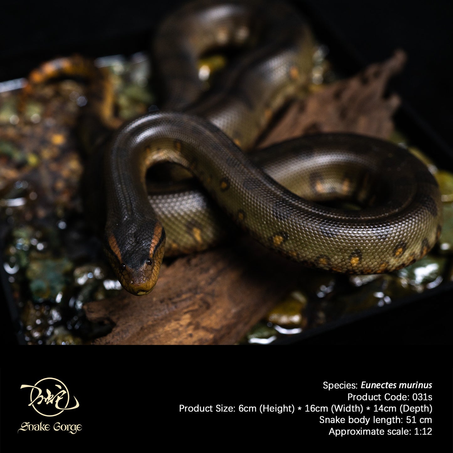 Green Anaconda/Eunectes murinus Resin Model